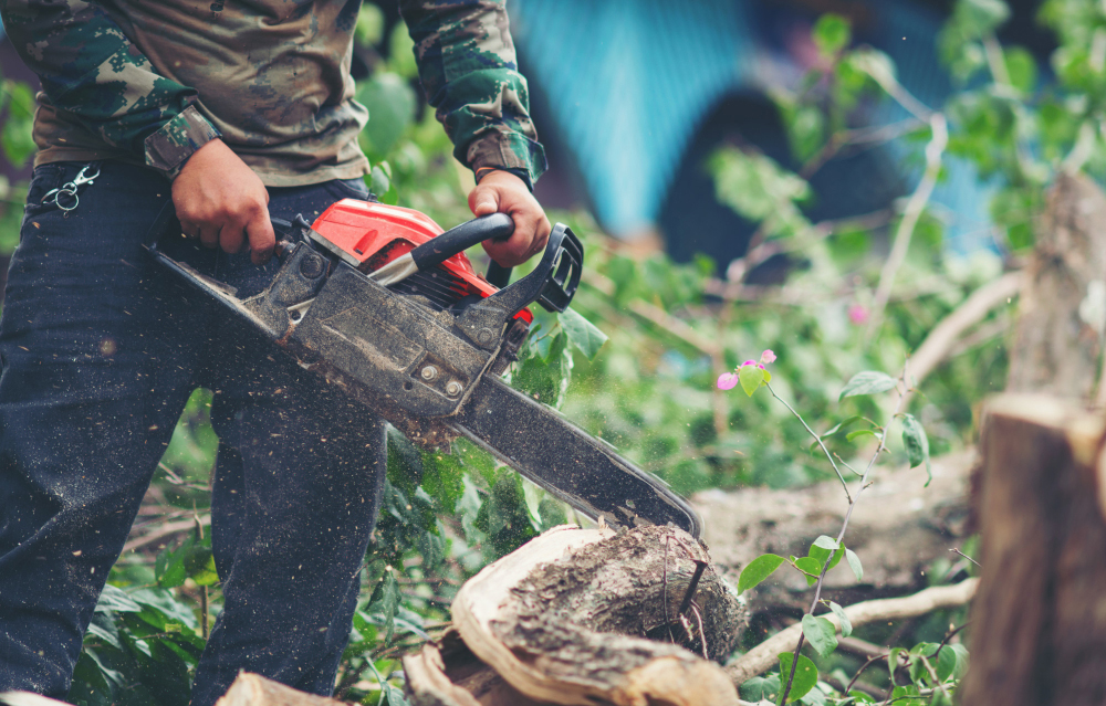 Élagueur en intervention à Douvaine